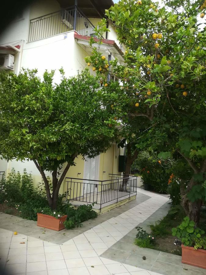 Apollo Hotel Kavos Exterior photo