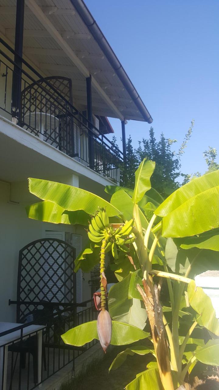 Apollo Hotel Kavos Exterior photo